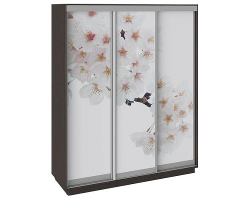 Шкаф-купе Румер