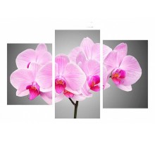 Набор из 3 картин TopLight TL-TM TL-TM1010