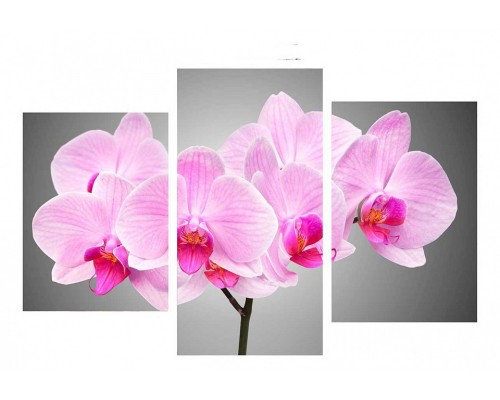 Набор из 3 картин TopLight TL-TM TL-TM1010