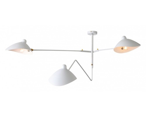 Люстра на штанге ST-Luce Spruzzo