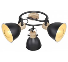 Спот Globo Wiho 54018-3S