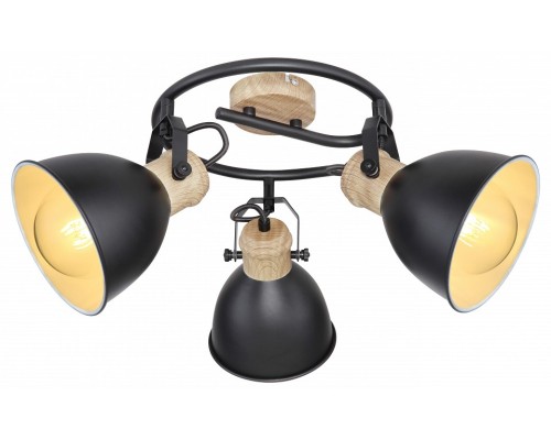 Спот Globo Wiho 54018-3S