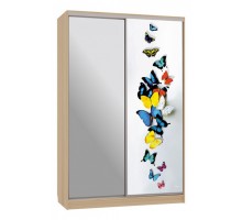 Шкаф-купе Рио 9-600 88