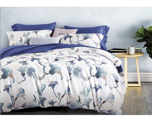 Постельное белье евростандарт Aquarella