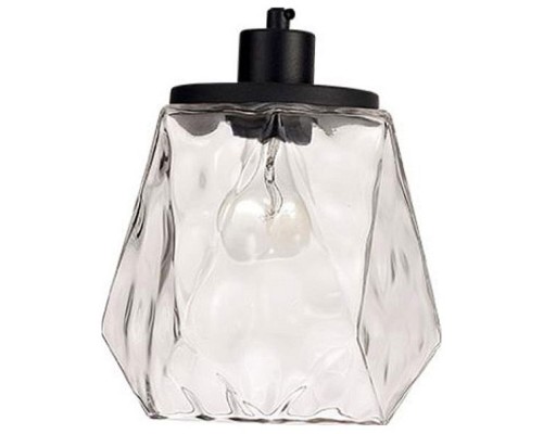 Подвесной светильник Odeon Light Capra 4996/1