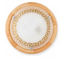 Накладной светильник TopLight Gien TL9173Y-02PN