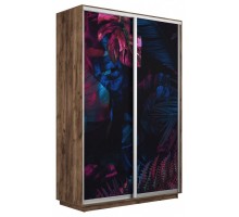 Шкаф-купе Экспресс Фото дуо 1004 1600x450x2400