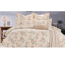 Постельное белье евростандарт CL-192