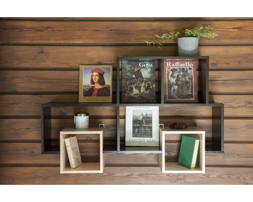 Полка книжная ПК-10