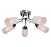 Потолочная люстра Vitaluce  V4896-9/5PL