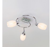 Спот Eurosvet Meridiane 20130/3 хром