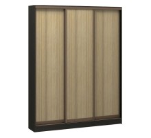 Шкаф-купе Адриано-3 2000x496x2400 мм