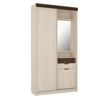 Шкаф-купе Ева 2 М6
