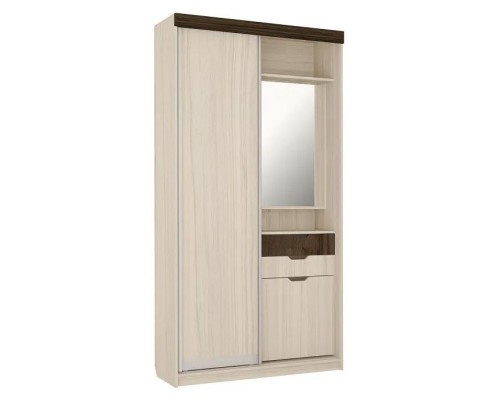 Шкаф-купе Ева 2 М6