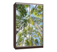 Шкаф-купе Рио 7-600 57