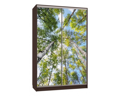 Шкаф-купе Рио 7-600 57