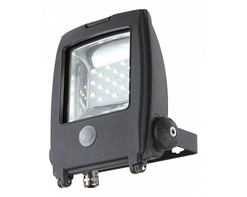 Настенный прожектор Globo Projecteur I 34218S