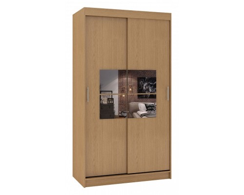 Шкаф-купе Риф-2 Зеркало вариант 5