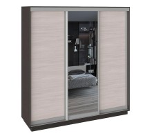 Шкаф-купе Румер СШК 1.210.70-11.13.11