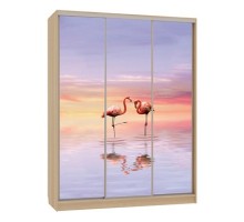 Шкаф-купе Бассо 7-600 19