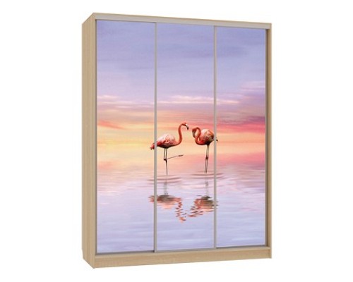 Шкаф-купе Бассо 7-600 19