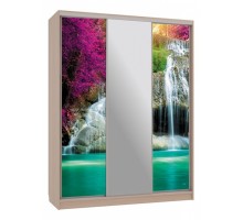 Шкаф-купе Бассо 10-600 49