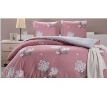 Постельное белье евростандарт CL-318