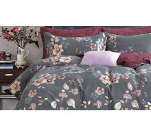 Постельное белье евростандарт Arleta
