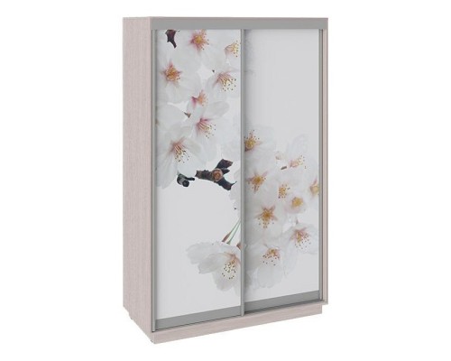 Шкаф-купе Румер СШК 1.140.70-25