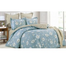 Постельное белье евростандарт C-389