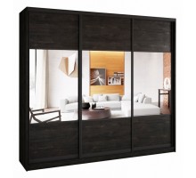 Шкаф-купе А0471494709 2600x580