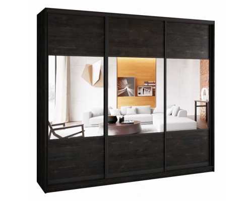 Шкаф-купе А0471494709 2600x580