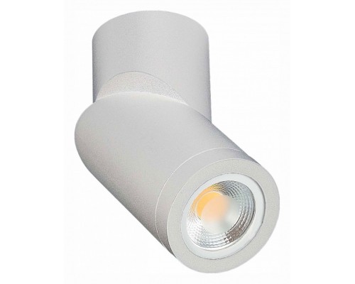 Светильник на штанге ST-Luce ST650 