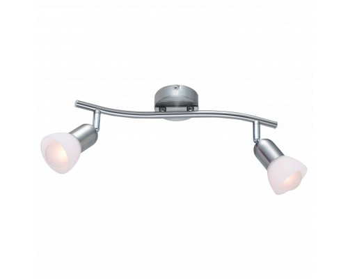 Спот Arte Lamp Falena A3115PL-2SS