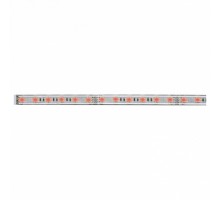 Лента светодиодная Paulmann MaxLED 70658