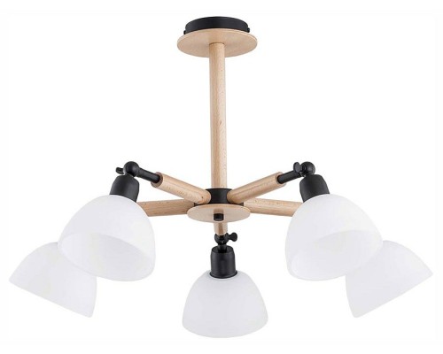 Люстра на штанге Alfa Bushwick 25185