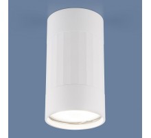 Накладной светильник Elektrostandard DLN111 a047754