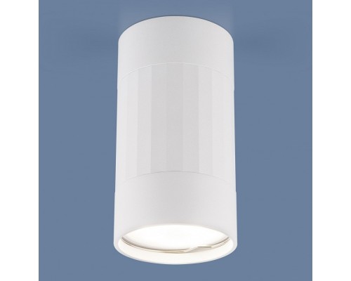 Накладной светильник Elektrostandard DLN111 a047754