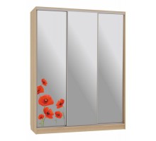 Шкаф-купе Бассо 4-600 маки