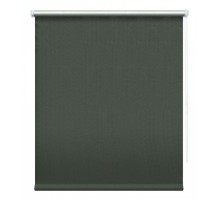 Штора рулонная (43x175 см) Сильвер