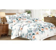 Постельное белье полутораспальное Art Color 067-AC