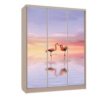 Шкаф-купе Бассо 7-600 19