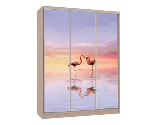 Шкаф-купе Бассо 7-600 19