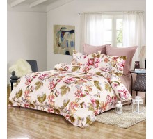 Постельное белье евростандарт Арабеска