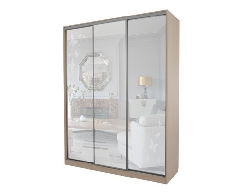 Шкаф-купе Бассо 4-600 бабочки