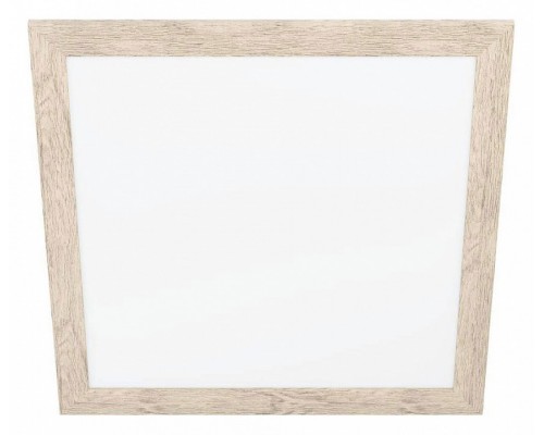 Накладной светильник Eglo ПРОМО Piglionasso 99436