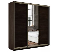 Шкаф-купе Экспресс Медиум