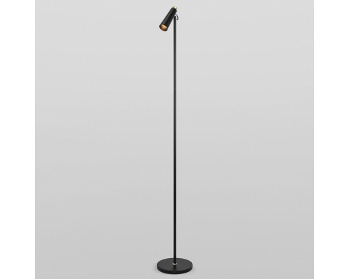 Торшер Eurosvet Joel 80430/1 черный/золото