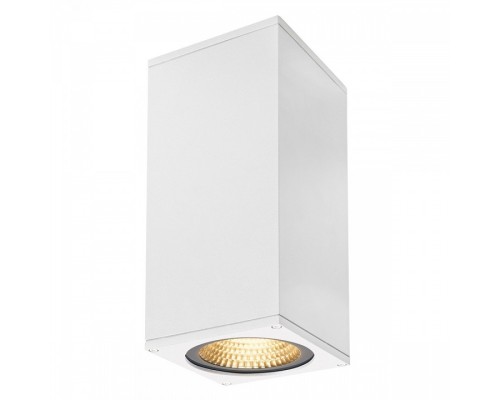 Накладной светильник SLV Big Theo 234501