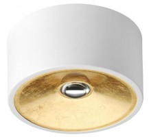 Накладной светильник Odeon Light Glasgow 3892/1C
